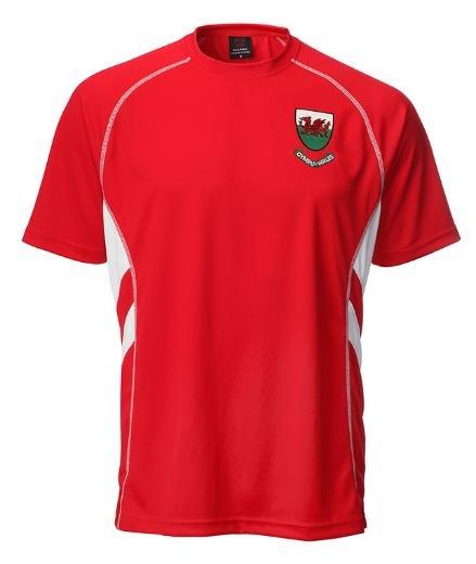 Manav Mens Welsh 'Ryan' T-Shirt